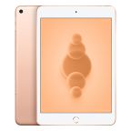 iPad Mini 5 (2019) Wi-Fi + 4G 256GB gold recondiționat