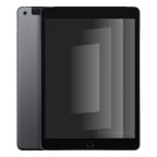 iPad 10.2 (2021) Wi-Fi + 4G 256GB space black recondiționat