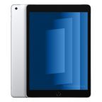 iPad 10.2 (2021) Wi-Fi + 4G 256GB argintiu recondiționat